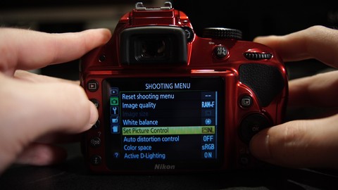 The Unofficial Guide to the Nikon D3200 & D3300