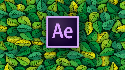 After Effects Beginner Course in Hindi