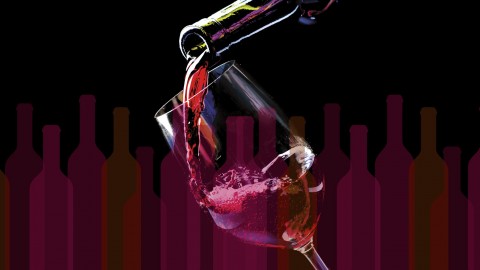 Wine in One Hour