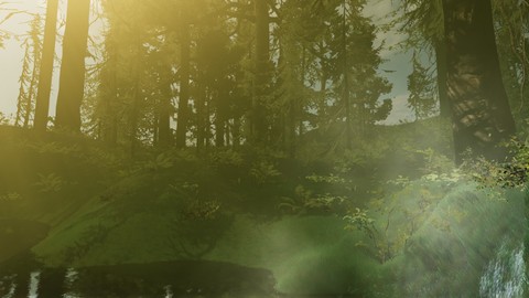 The joy of unity, creating forests