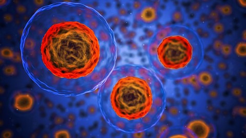 Basics on Cell Biology Cell Tissues & Functions Biology