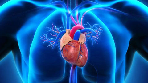Physiology Exam Questions Practice Test