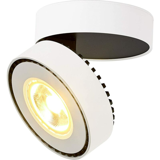 Indoor led Ceiling Light 12W Adjustable Reflectors Ceiling Light Rotating Ceiling Light and Surface Spotlights,10x6cm (White-3000K) [Energy Class a+]