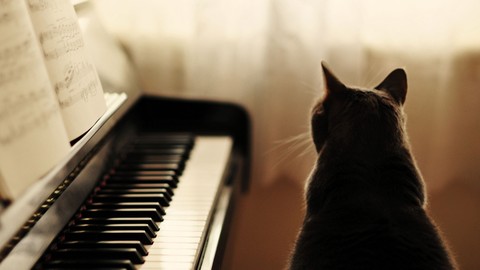 CoolCat Piano, Keyboard, Sight Reading, Theory course