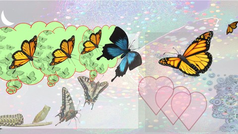 Almighty LOVE 2. Transformation as the key to Happiness