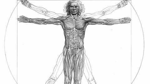 YIN YANG YOGA The Best YOGA for Top athletes