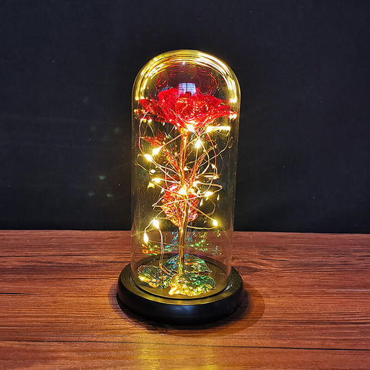 Aougo - Charming Everose, Glass Dome with led Lights, Gift Ideas for Women, Christmas, Mother's Day (Hot Light Red Rose)