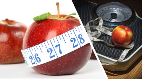 How To Lose Weight With A Busy Lifestyle