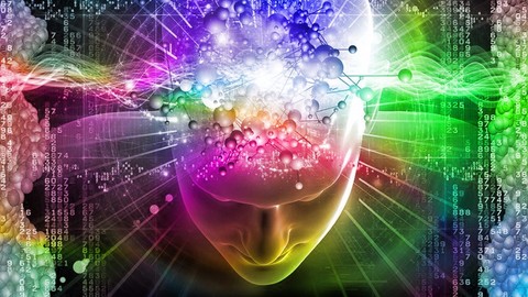 Launch your career as a Professional Mind Coach -Certificate