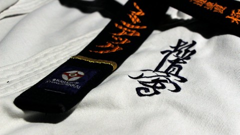 KYOKUSHIN KARATE most useful kicks, punches, katas, workout