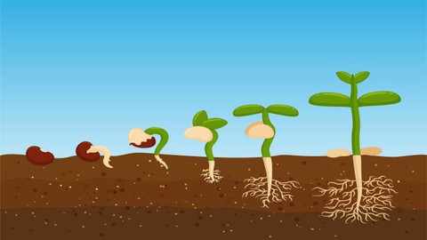 Biology: Plant Growth & Development