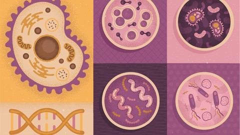 Biology - Cell the Unit of Life