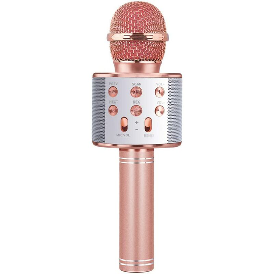 Popular Singing Wireless Bluetooth Microphone with Speaker for Girls Boys Kids