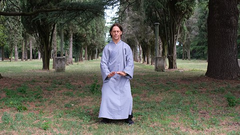SHAOLIN LEGENDARY XINYIBA FUNDAMENTALS - LEVEL 1