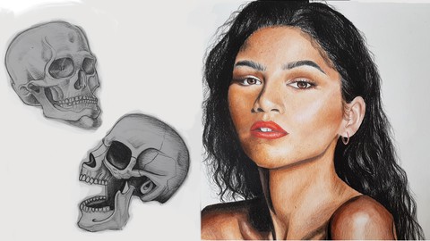 Essential Base Knowledge Drawing Course