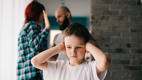 Introduction to Domestic Violence (Fully Accredited)