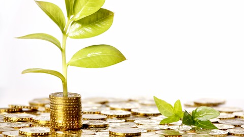 Remove Wealth Blocks & Create Abundance 30 Day Challenge