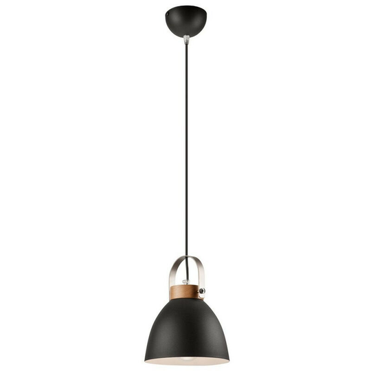 Danielle Steel Dome Pendant Ceiling Lights Graphite, 1x E27