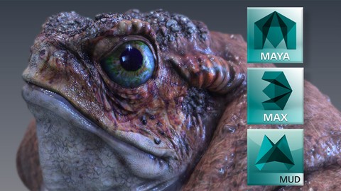 3D Animation & Modeling Master Class Beginner to Advanced