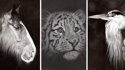 Draw Wild Animals in Black and White 4 Pencils Vol 2
