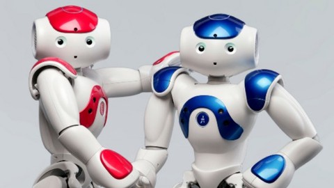 Humanoid Robot Animation