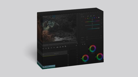Underwater Color Grading