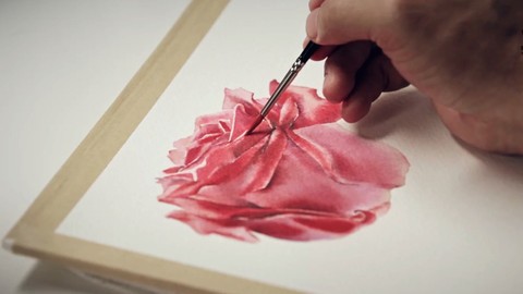 Roses Watercolor Painting by La Fe (ne-color rose)