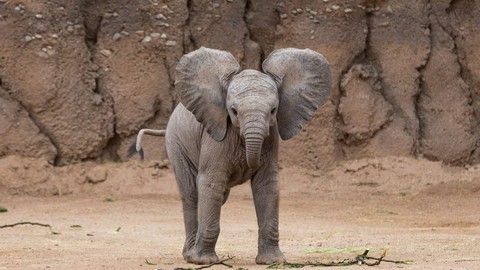 PostgreSQL v12 Database Administration on Win/Linux- Part 2