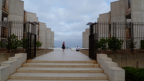 The Architecture of Louis Kahn