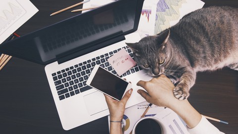 Real Ways To Earn Online From Home.