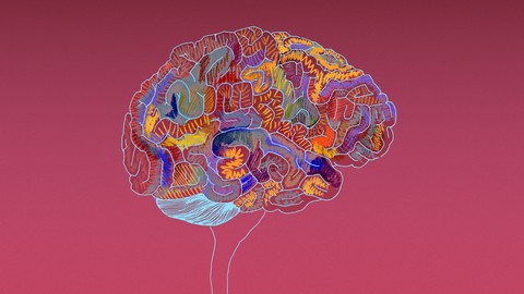 Introduction to Psychopathology Mental Retardation