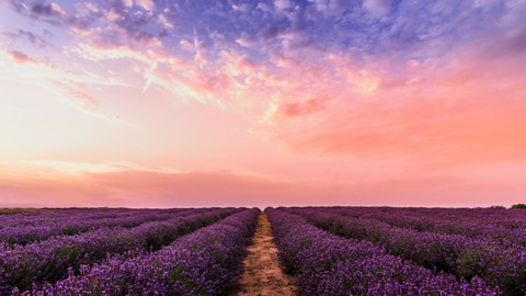 How To Cultivate An Abundance Mindset & Manifest Your Dreams