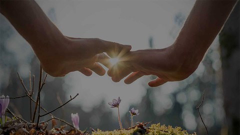 Reiki Level 1 Course