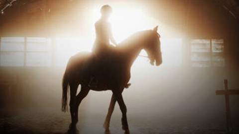 HOW TO READ UK HORSE RACING FORM EFFECTIVELY