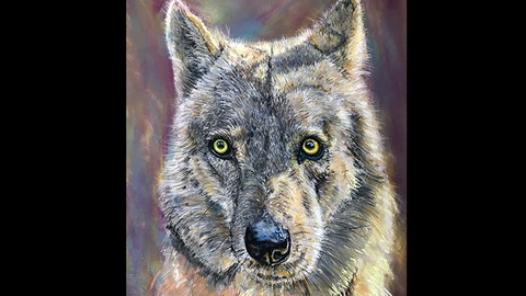 Draw a Wolf's Head With Pastel Pencils