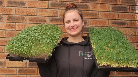 Learn how to grow Microgreens