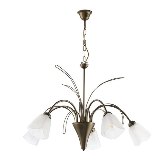 Onli Lighting - Onli Antea 5 Light Multi Arm Pendant Ceiling Light, Meteorite