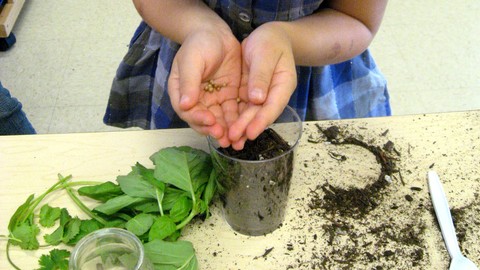 Inspired by Reggio Emilia: A New Beginning