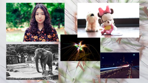Basic Photography