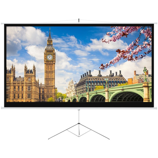 120 Inch Portable Projector Screen with Tripod Stand - Livingandhome