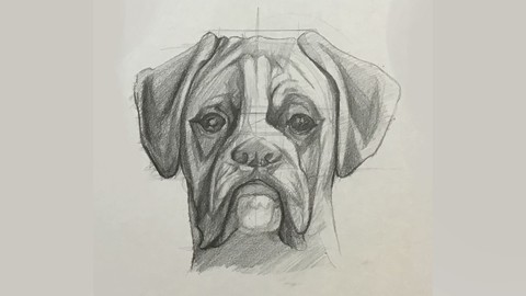 Animal Figure and Anatomy with Charcoal Drawing Technique