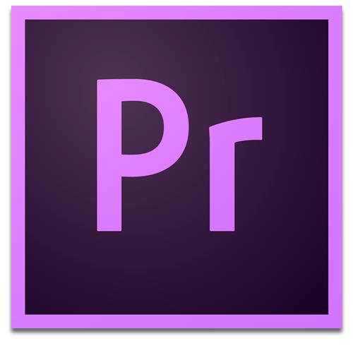 Adobe Premiere Pro 1 license(s) Electronic Software Download (ESD) Multilingual