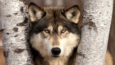10 Steps to Dramatic Nature Photography