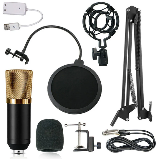 Professional BM700 Condenser Microphone Sound Recording Microphone Mic ktv Singing Studio Recording Kit Black+Gold,Gold - Gold