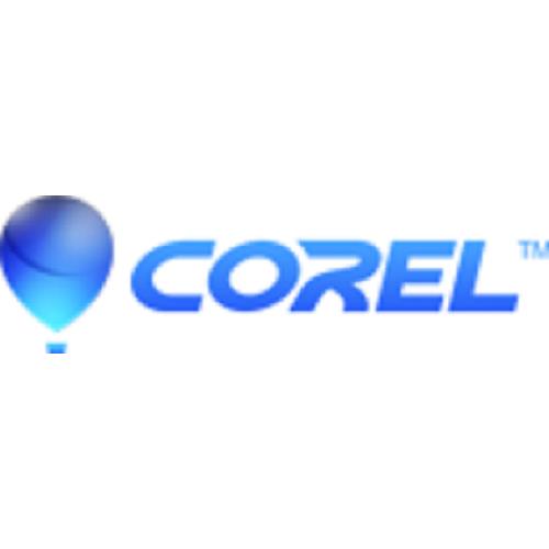 Corel Painter 2021 Full 1 license(s) Electronic Software Download (ESD) Multilingual