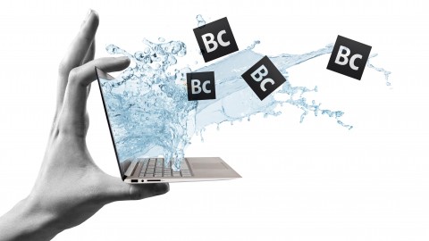 Practical Liquid Markup Examples for Adobe Business Catalyst