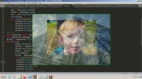 Inteligencia Artificial aplicada a la empresa (con Python)