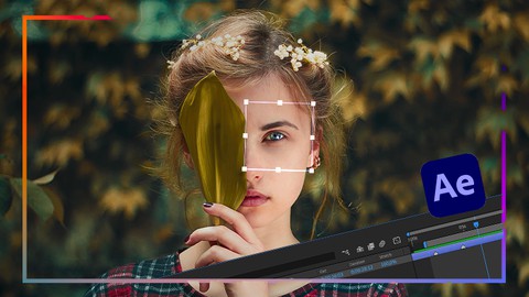 Sosyal Medya in Uygulamal After Effects Eitimi