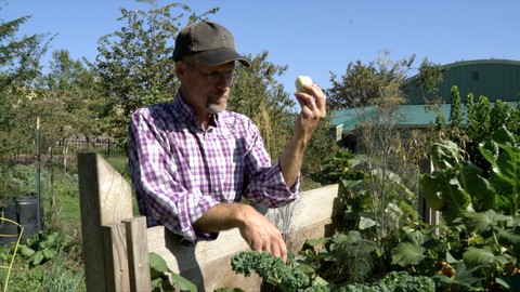 Things They Didn't Teach You In Garden School
