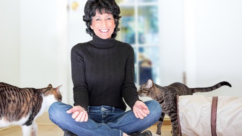 Reiki Energy To Heal Yourself & Your Animal